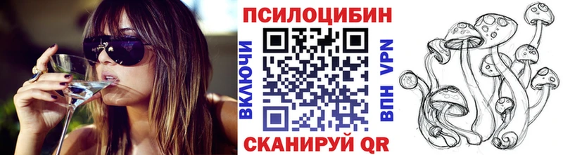 купить   Холмск  Псилоцибиновые грибы MAGIC MUSHROOMS 